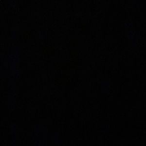 Meet your Posher, Ally